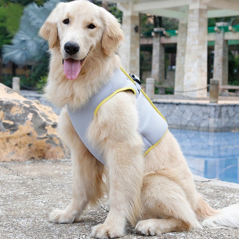 Cooling Chest Strap for Heatstroke Prevention