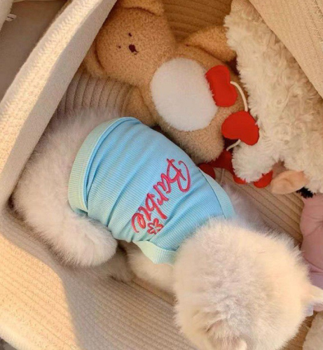Ice Silk Cooling Dog Vest