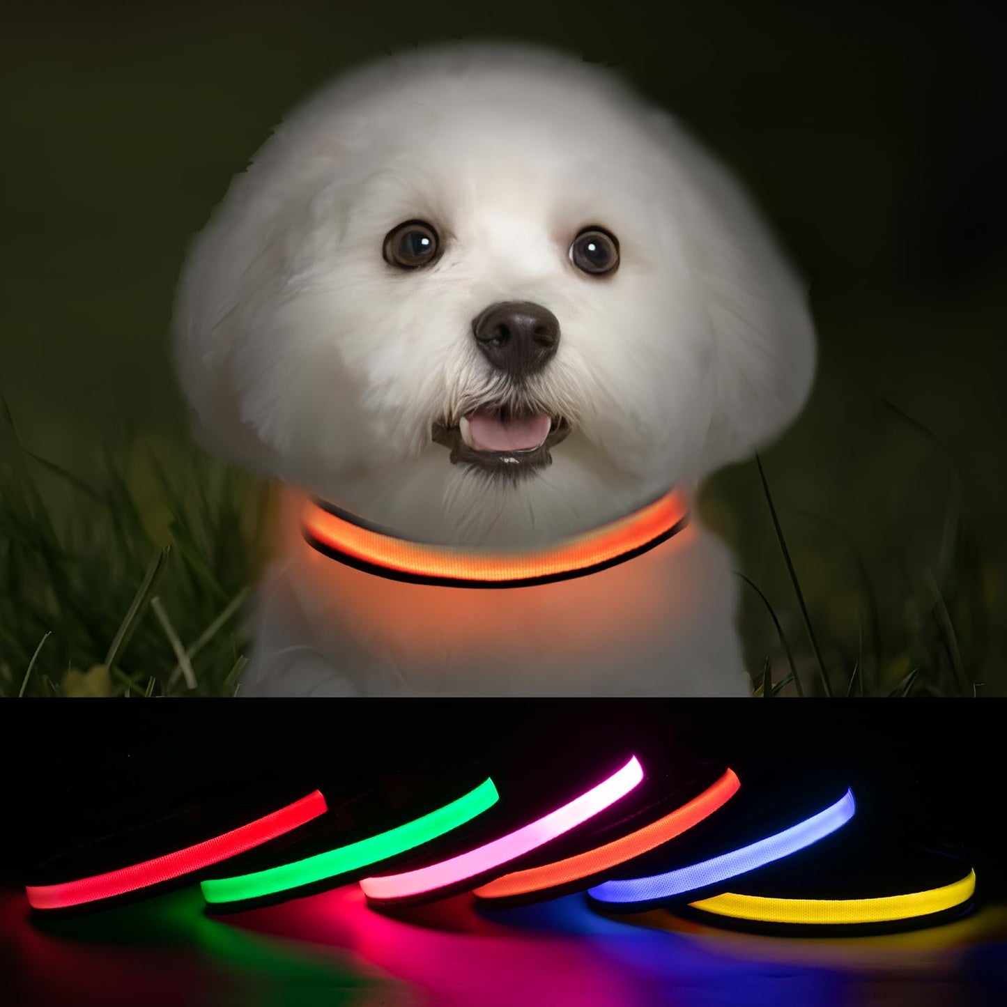 Glowtail Rechargeable LED Dog Collar