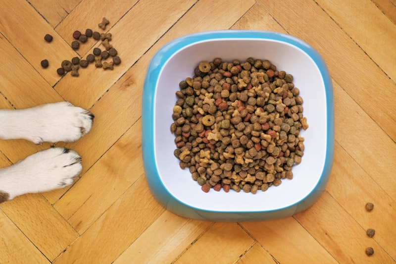 SlowBowl Raised Anti-Choke Feeder — Adjustable Height Slow-Feed Dog Bowl