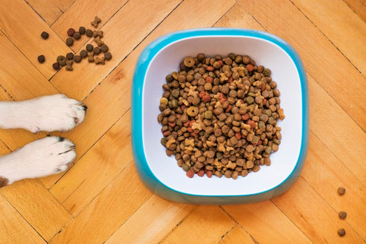 SlowBowl Raised Anti-Choke Feeder — Adjustable Height Slow-Feed Dog Bowl